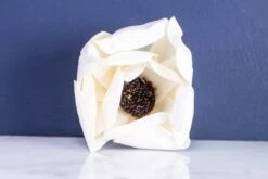 3" Anemone Coronaria (10 Pack) -Flowers Sales 2024 3 anemone coronaria 10 pack 446077