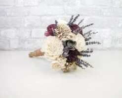 3" Bark Zinnia (10 Pack) -Flowers Sales 2024 3 bark zinnia 10 pack 460243