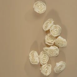 3" Bird Rose (10 Pack) -Flowers Sales 2024 3 bird rose 10 pack 943749