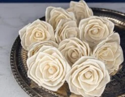 3" Bombay (10 Pack) 9 3" Bombay (10 Pack) -Flowers Sales 2024 3 bombay 10 pack 696244