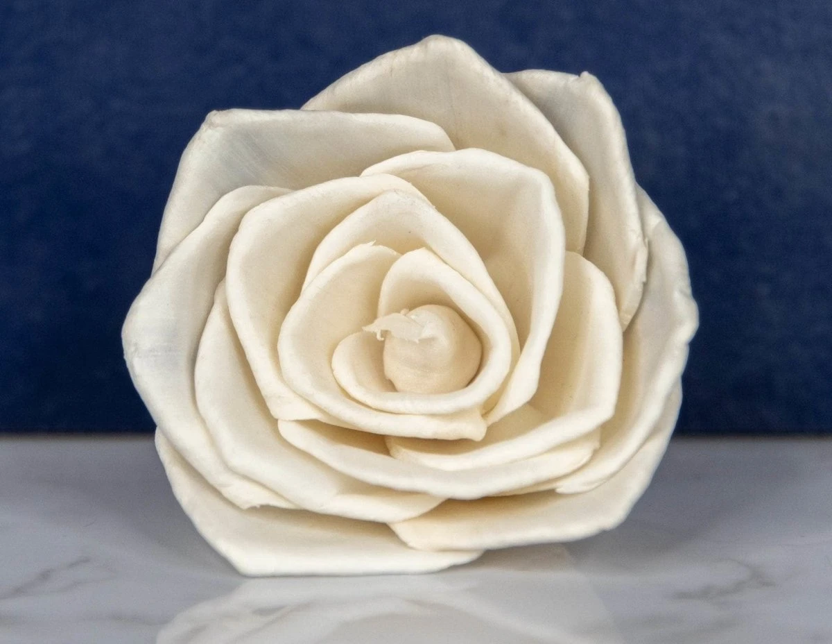 3" Bombay (10 Pack) 4 3" Bombay (10 Pack) - Image 2