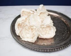 3" Bowl Of Beauty Peony (10 Pack) -Flowers Sales 2024 3 bowl of beauty peony 10 pack 948561