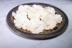 3" Butterfly Ranunculus (10 Pack) 8 3" Butterfly Ranunculus (10 Pack) -Flowers Sales 2024 3 butterfly ranunculus 10 pack 307712