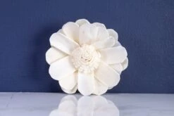 3" Butterfly Ranunculus (10 Pack) 9 3" Butterfly Ranunculus (10 Pack) -Flowers Sales 2024 3 butterfly ranunculus 10 pack 813267