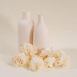 3" Carnation (10 Pack) -Flowers Sales 2024 3 carnation 10 pack 414416