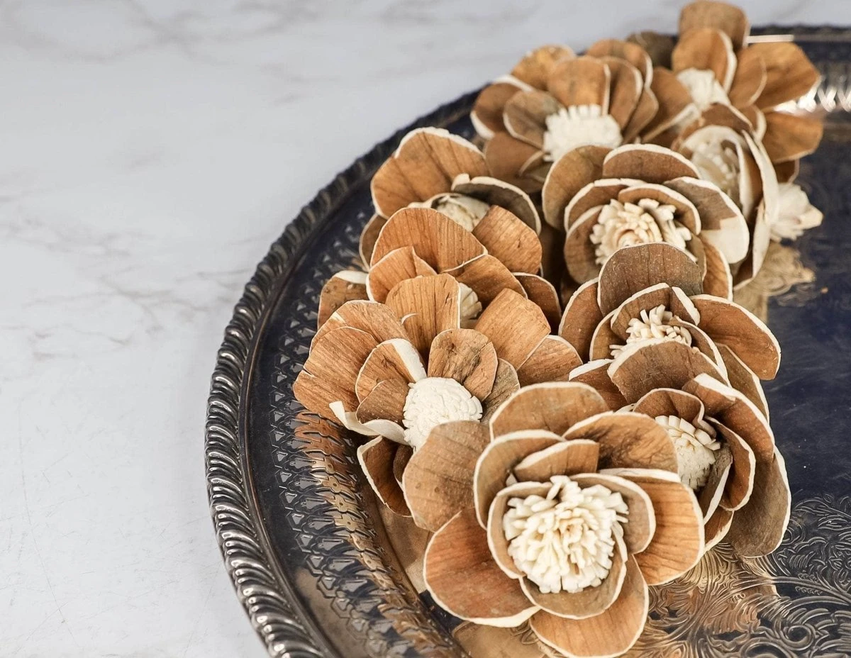 3" Coco (10 Pack) 6 3" Coco (10 Pack) - Image 4