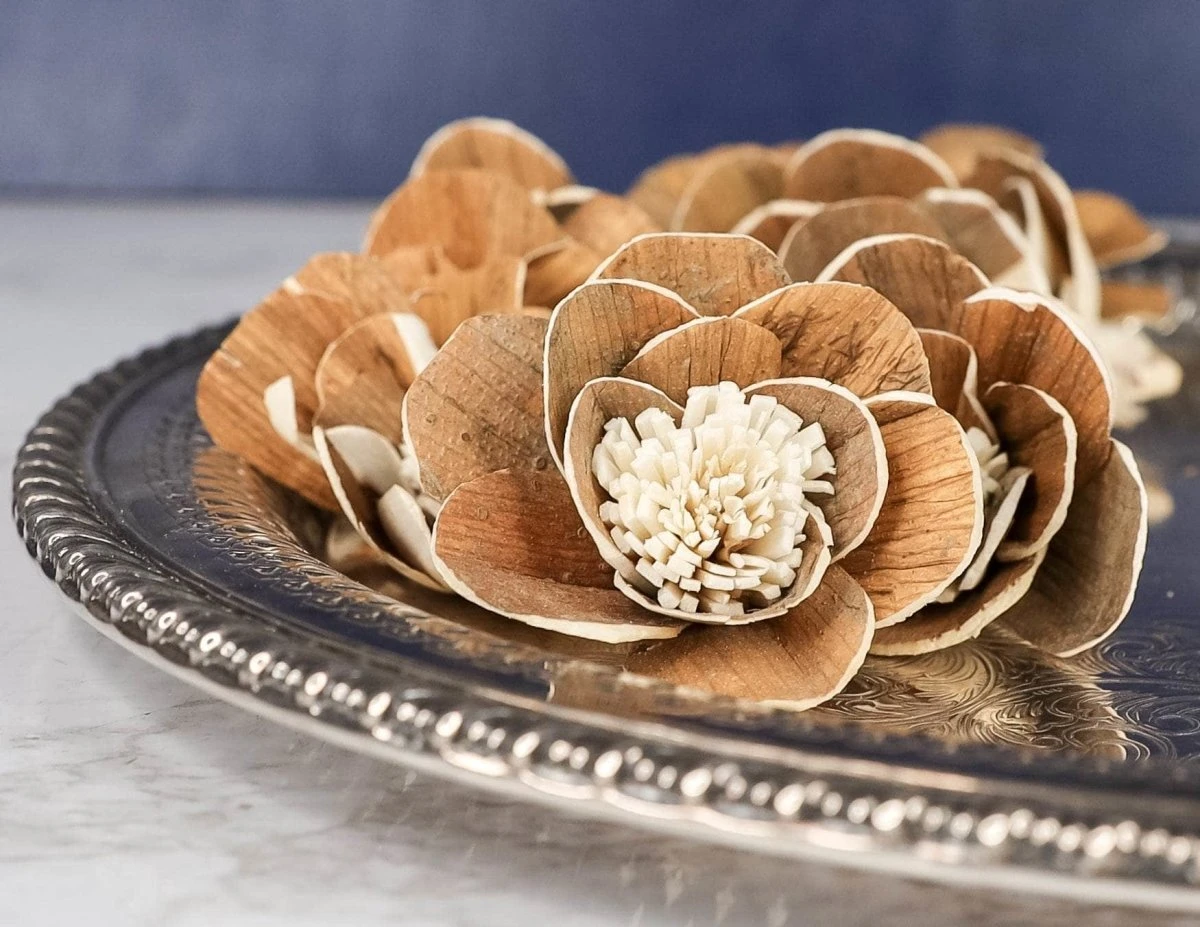 3" Coco (10 Pack) 3 3" Coco (10 Pack)