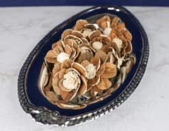 3" Coco (10 Pack) 10 3" Coco (10 Pack) -Flowers Sales 2024 3 coco 10 pack 845830