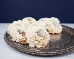 3" Coco Bali (10 Pack)