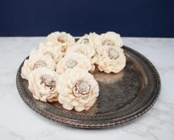 3" Coco Bali (10 Pack) -Flowers Sales 2024 3 coco bali 10 pack 985477