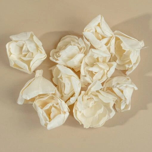 3" Crown Jewel Gardenia (10 Pack) -Flowers Sales 2024 3 crown jewel gardenia 10 pack 262128