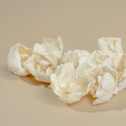 3" Crown Jewel Gardenia (10 Pack) -Flowers Sales 2024 3 crown jewel gardenia 10 pack 748357