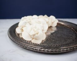 3" Daffodil (10 Pack)