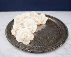 3" Daffodil (10 Pack) 8 3" Daffodil (10 Pack) -Flowers Sales 2024 3 daffodil 10 pack 302223