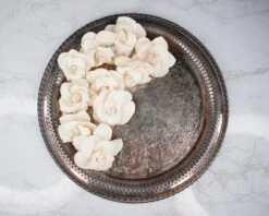 3" Daffodil (10 Pack) 9 3" Daffodil (10 Pack) -Flowers Sales 2024 3 daffodil 10 pack 369652