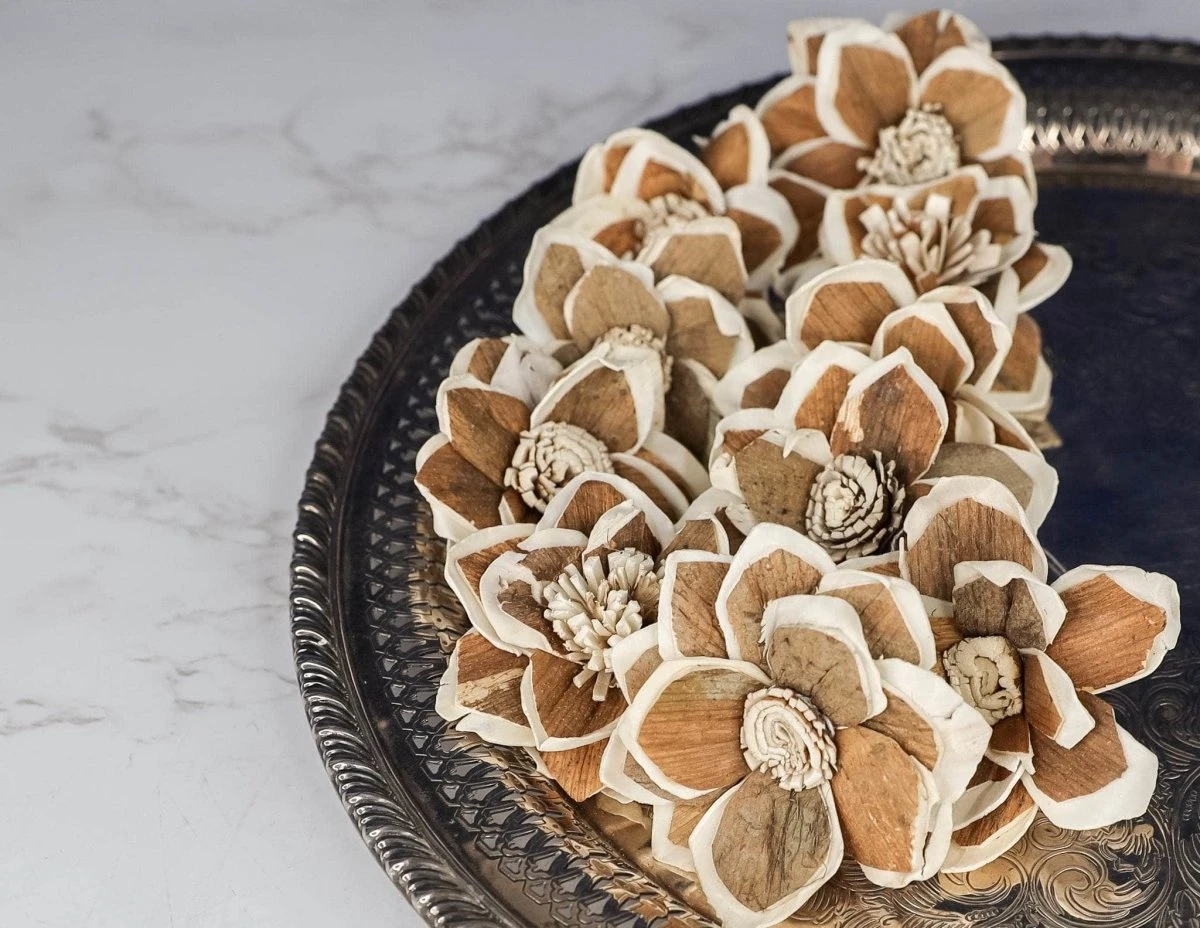 3" Mila (10 Pack) 6 3" Mila (10 Pack) - Image 4