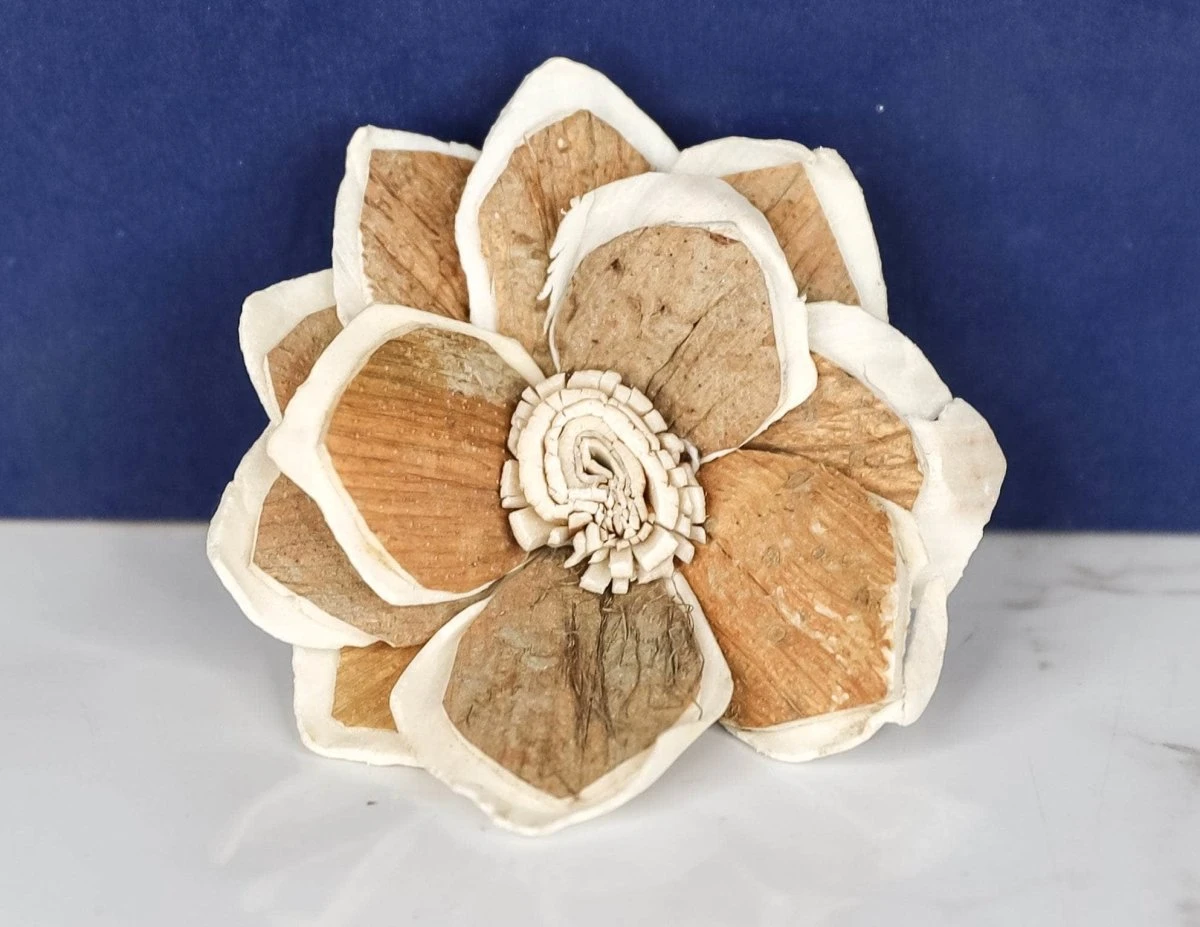 3" Mila (10 Pack) 4 3" Mila (10 Pack) - Image 2