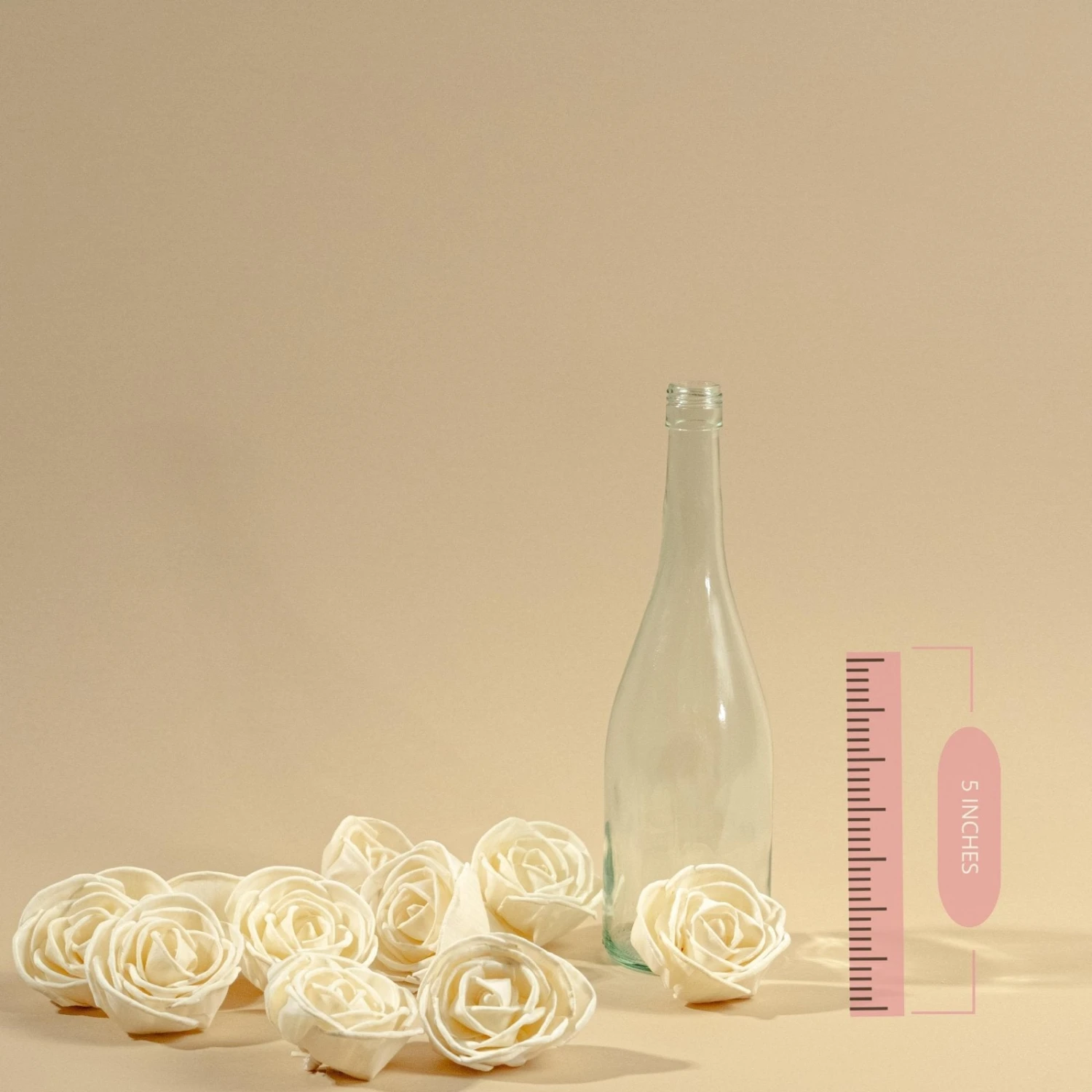 3" Nelly (10 Pack) 4 3" Nelly (10 Pack) - Image 2