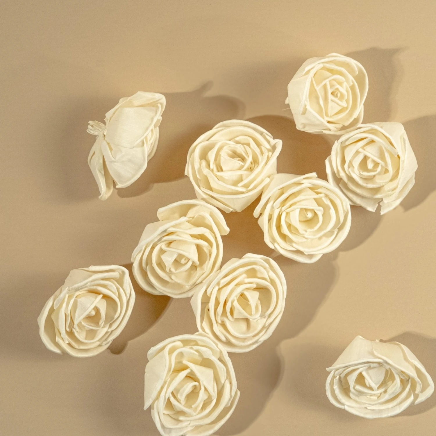 3" Nelly (10 Pack) 3 3" Nelly (10 Pack)