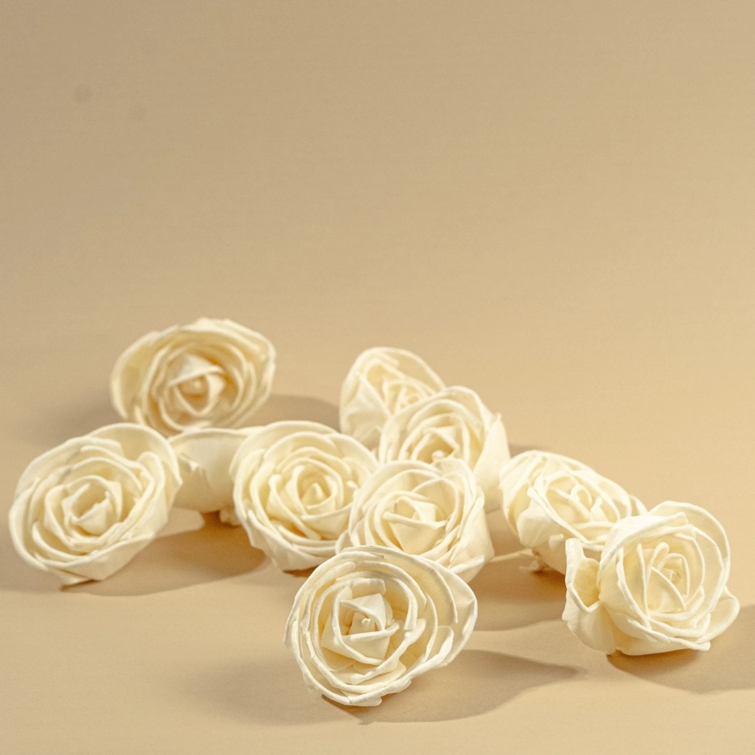 3" Nelly (10 Pack) 7 3" Nelly (10 Pack) - Image 5