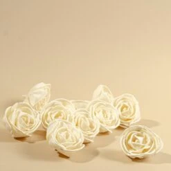 3" Nelly (10 Pack) 9 3" Nelly (10 Pack) -Flowers Sales 2024 3 nelly 10 pack 806645