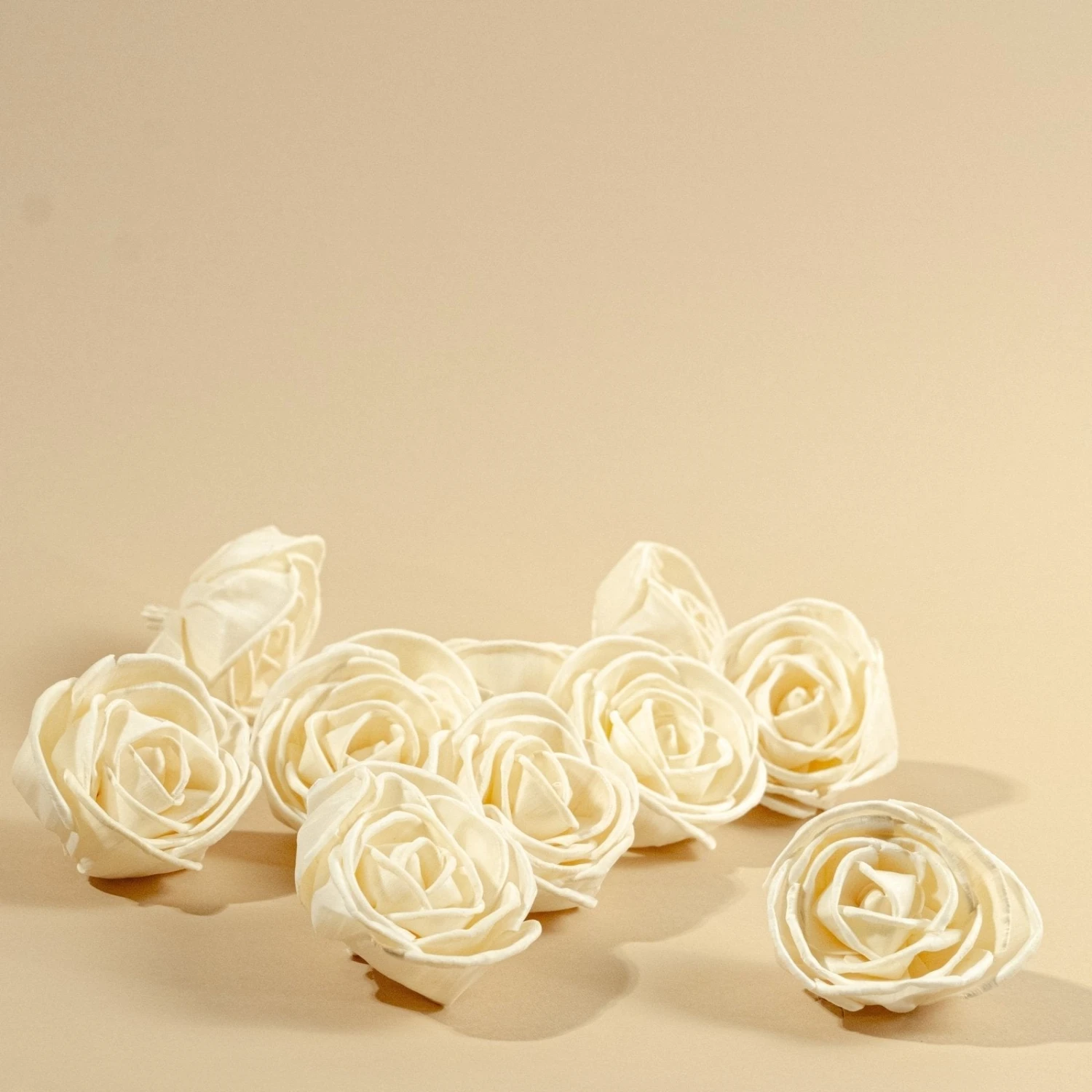 3" Nelly (10 Pack) 5 3" Nelly (10 Pack) - Image 3