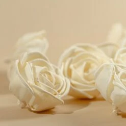 3" Nelly (10 Pack) 10 3" Nelly (10 Pack) -Flowers Sales 2024 3 nelly 10 pack 953111