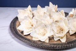 3" Nymphaeaceae (10 Pack)