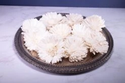 3" Oxeye Daisy (10 Pack) -Flowers Sales 2024 3 oxeye daisy 10 pack 732654