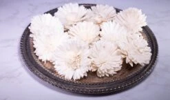 3" Oxeye Daisy (10 Pack) -Flowers Sales 2024 3 oxeye daisy 10 pack 898752