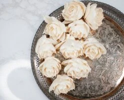 3" Sunburst (10 Pack) -Flowers Sales 2024 3 sunburst 10 pack 884004