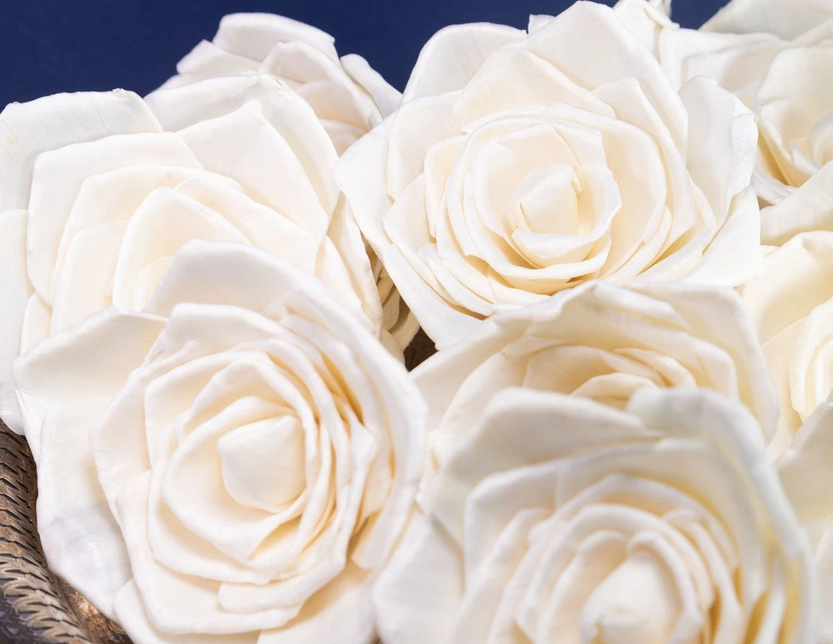 4" Bombay (10 Pack) 4 4" Bombay (10 Pack) - Image 2