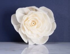 4" Dear Holly (10 Pack) 7 4" Dear Holly (10 Pack) -Flowers Sales 2024 4 dear holly 10 pack 429889