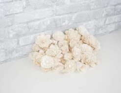 50 Random Assortment - No Bark -Flowers Sales 2024 50 random assortment no skin 332098