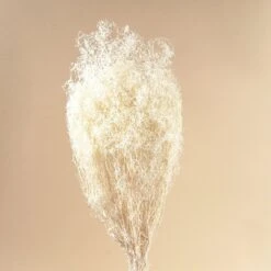 Baby's Breath (White Sparkle)
