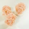 Bashful Beauty Boutonniere (Set Of 3) 1 Bashful Beauty Boutonniere (Set Of 3) -Flowers Sales 2024 bashful beauty boutonniere set of 3 559524