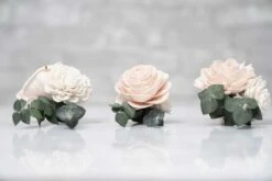 Blush Beauty Boutonniere (Set Of 3) 11 Blush Beauty Boutonniere (Set Of 3) -Flowers Sales 2024 blush beauty boutonniere kit set of 3 518807