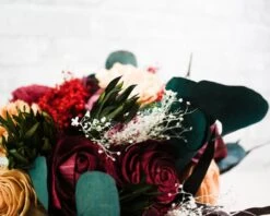 Broom Bloom - Burgundy -Flowers Sales 2024 broom bloom burgundy 672960