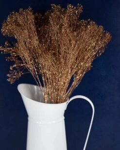 Broom Bloom - Copper Sparkle 12 Broom Bloom - Copper Sparkle -Flowers Sales 2024 broom bloom copper sparkle 101702