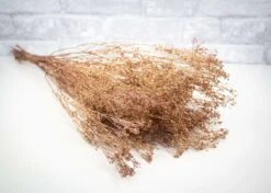 Broom Bloom - Copper Sparkle