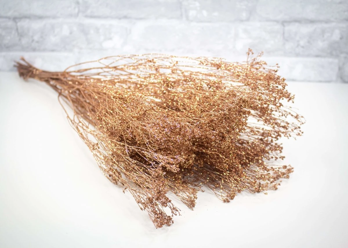 Broom Bloom - Copper Sparkle 3 Broom Bloom - Copper Sparkle