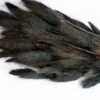 Bunny Tails - Black -Flowers Sales 2024 bunny tails black 329558