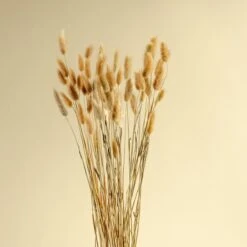 Bunny Tails (Natural)