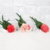 Caprice Corsage (Set Of 3) 1 Caprice Corsage (Set Of 3) -Flowers Sales 2024 caprice corsage kit set of 3 995665