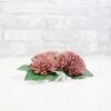 Cinder Rose Corsage (Set Of 3) -Flowers Sales 2024 cinder rose corsage set of 3 569343