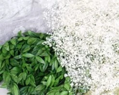 Dearly Bouquet 14 Dearly Bouquet -Flowers Sales 2024 dearly bouquet 677506