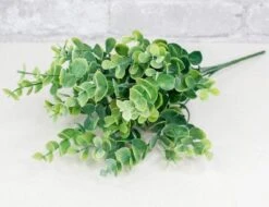 Eucalyptus Bush Spray - Light Green