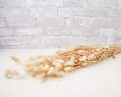 Greenery Sample Kit -Flowers Sales 2024 greenery sample kit 346697