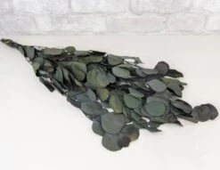 Greenery Sample Kit -Flowers Sales 2024 greenery sample kit 665894