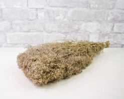 Greenery Sample Kit -Flowers Sales 2024 greenery sample kit 712860